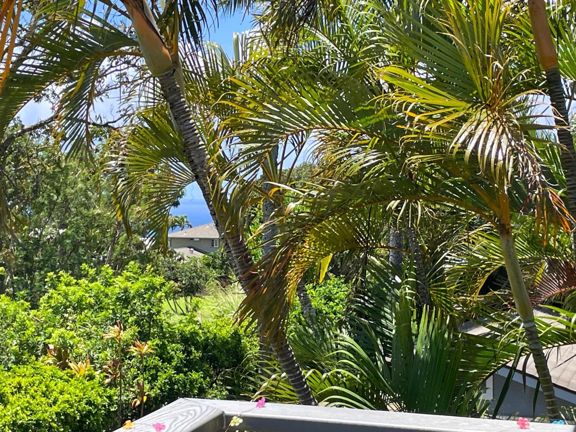 Puu Koa Palms Vacation Rental Haiku Экстерьер фото